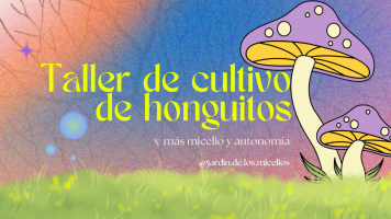 Escuelita del Jardín de los Micelios